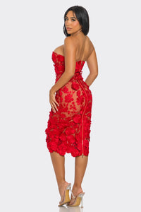 Scarlet Floral Applique Dress - REVE DORES